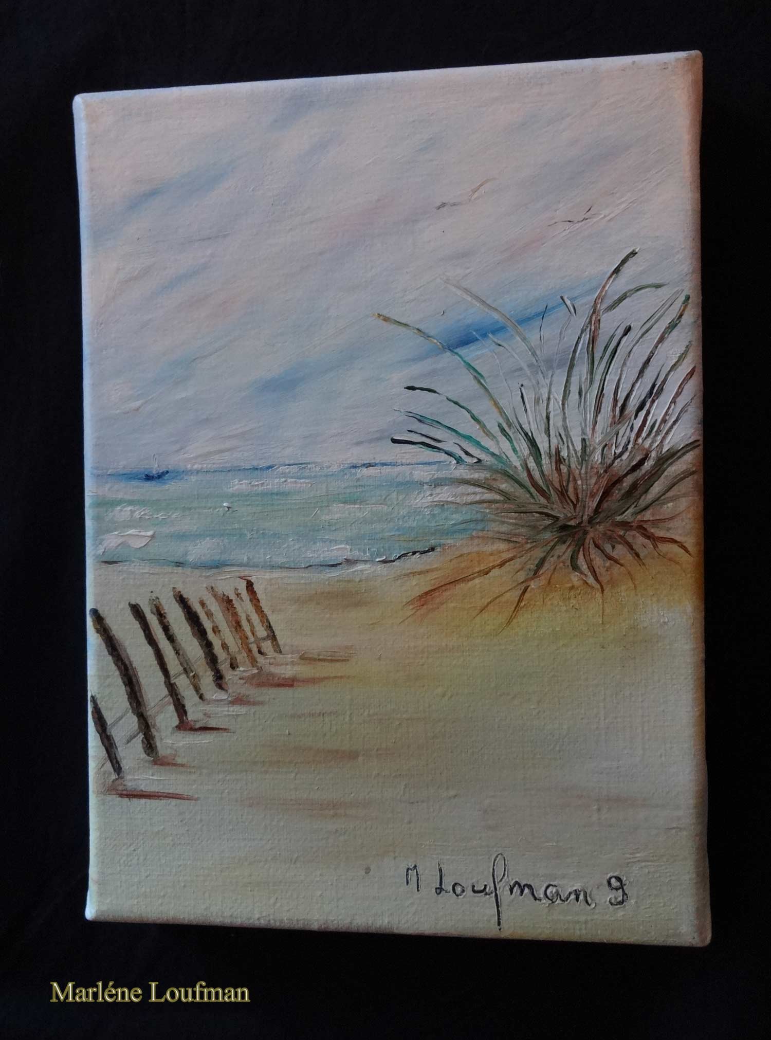 N° 14 - tableau de dune avec barrière de Marlène Loufman 
